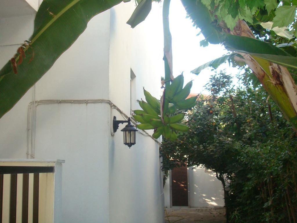 Karis Hotel Kos Town Ngoại thất bức ảnh